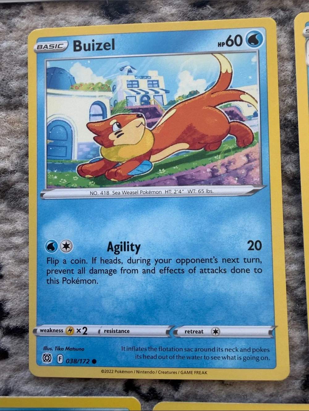 Buizel & Floatzel Evolution Lot | Scarlet & Violet + Brilliant Stars | ✨5/$25✨
